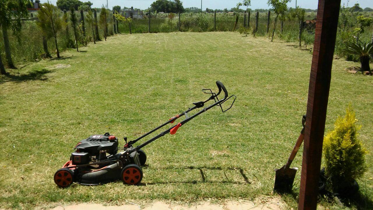 Corte de césped profesional